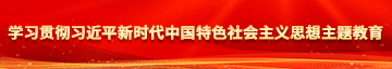 XX艹爽X艹A级X片学习贯彻习近平新时代中国特色社会主义思想主题教育